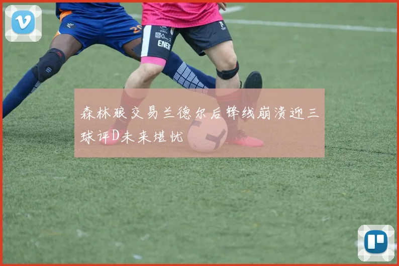 森林狼交易兰德尔后锋线崩溃迎三球评D未来堪忧