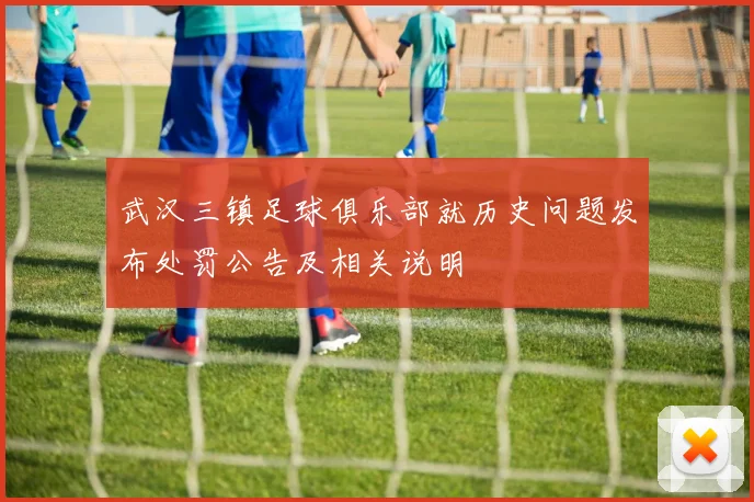 武汉三镇足球俱乐部就历史问题发布处罚公告及相关说明